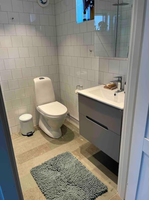 Gribbylund Mini Houseヴィラ エクステリア 写真